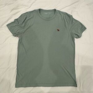 Light Green Abercrombie and Fitch T Shirt
